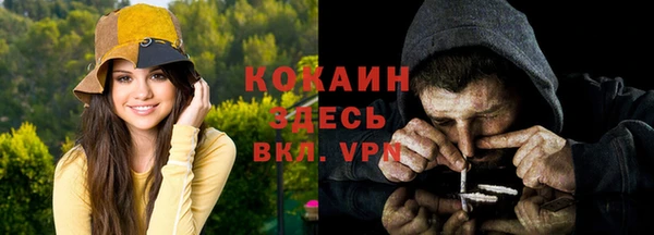 стаф Арсеньев