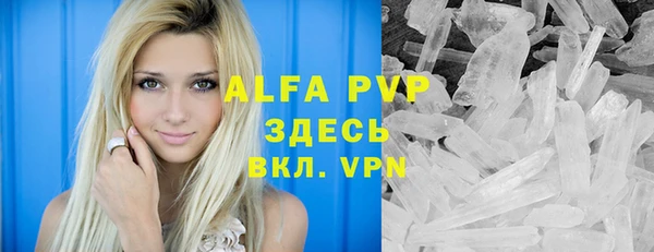 индика Балахна