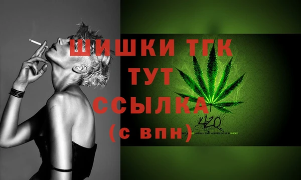 индика Балахна