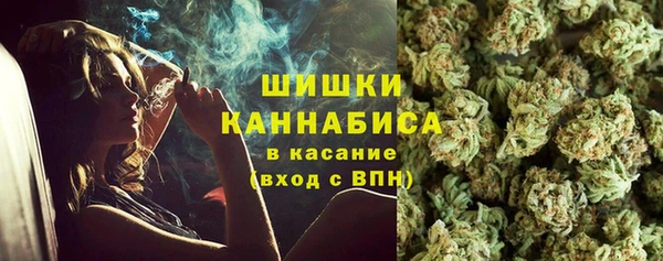 стаф Арсеньев