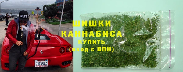 стаф Арсеньев