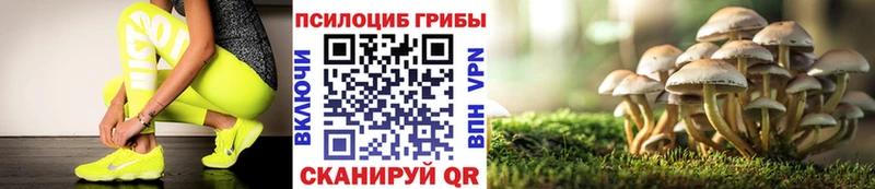 Галлюциногенные грибы ЛСД Нижний Ломов